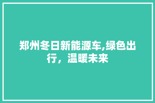 郑州冬日新能源车,绿色出行，温暖未来  第1张