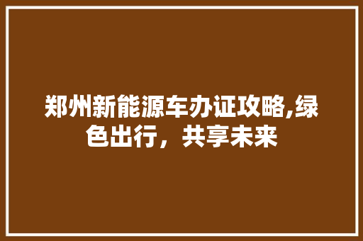 郑州新能源车办证攻略,绿色出行，共享未来