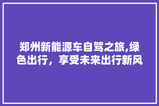 郑州新能源车自驾之旅,绿色出行，享受未来出行新风尚  第1张