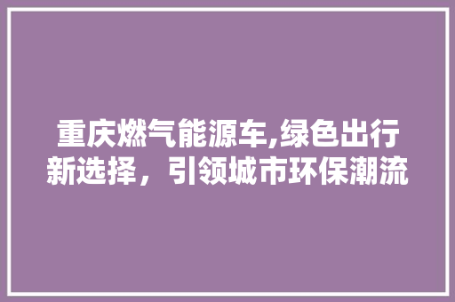 重庆燃气能源车,绿色出行新选择，引领城市环保潮流