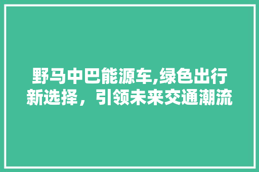 野马中巴能源车,绿色出行新选择，引领未来交通潮流  第1张