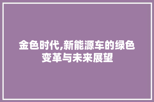 金色时代,新能源车的绿色变革与未来展望