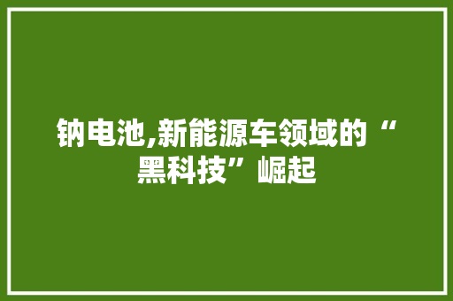 钠电池,新能源车领域的“黑科技”崛起