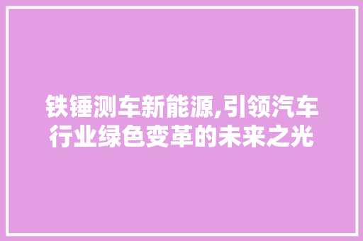 铁锤测车新能源,引领汽车行业绿色变革的未来之光