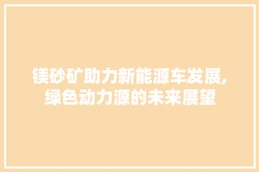 镁砂矿助力新能源车发展,绿色动力源的未来展望