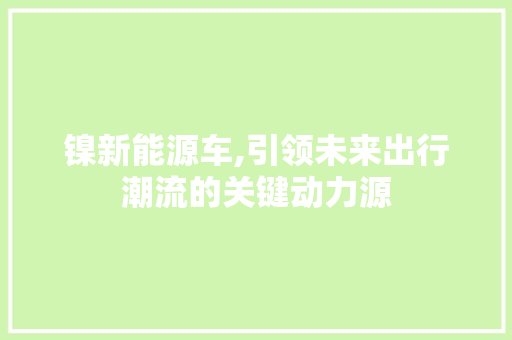 镍新能源车,引领未来出行潮流的关键动力源