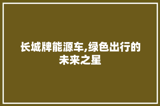 长城牌能源车,绿色出行的未来之星