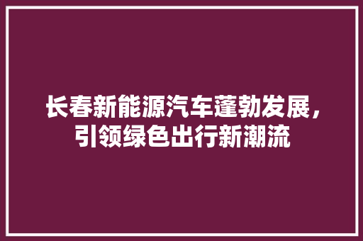 长春新能源汽车蓬勃发展，引领绿色出行新潮流  第1张