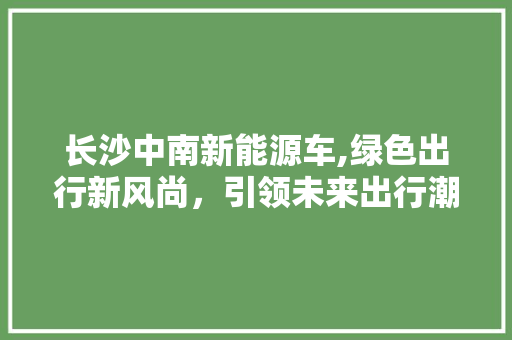 长沙中南新能源车,绿色出行新风尚，引领未来出行潮流