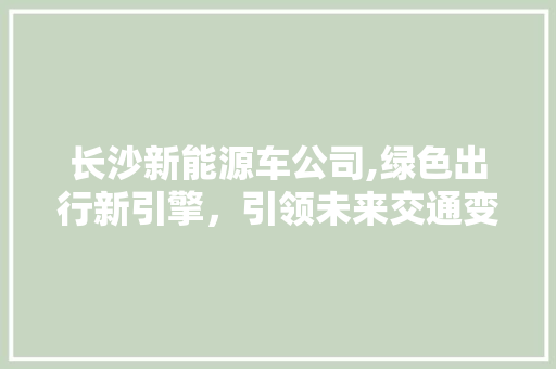 长沙新能源车公司,绿色出行新引擎，引领未来交通变革