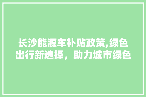 长沙能源车补贴政策,绿色出行新选择，助力城市绿色发展