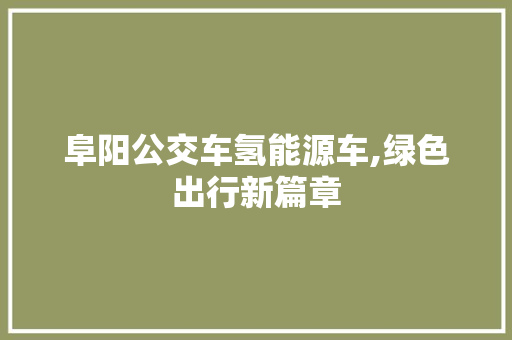 阜阳公交车氢能源车,绿色出行新篇章