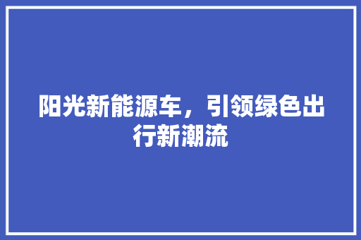 阳光新能源车，引领绿色出行新潮流  第1张