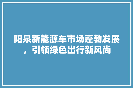 阳泉新能源车市场蓬勃发展，引领绿色出行新风尚  第1张