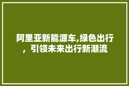 阿里亚新能源车,绿色出行，引领未来出行新潮流