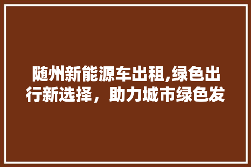 随州新能源车出租,绿色出行新选择，助力城市绿色发展