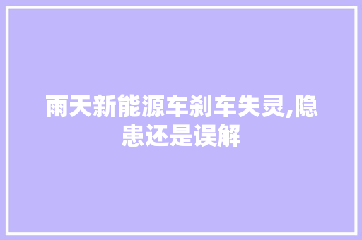 雨天新能源车刹车失灵,隐患还是误解