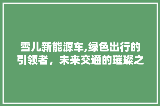 雪儿新能源车,绿色出行的引领者，未来交通的璀璨之星