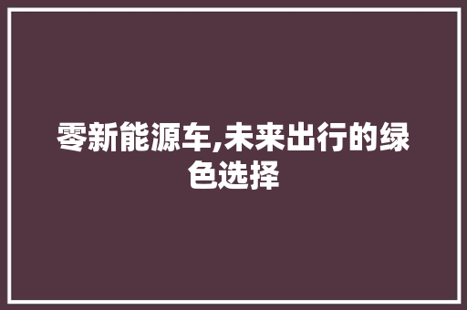 零新能源车,未来出行的绿色选择  第1张