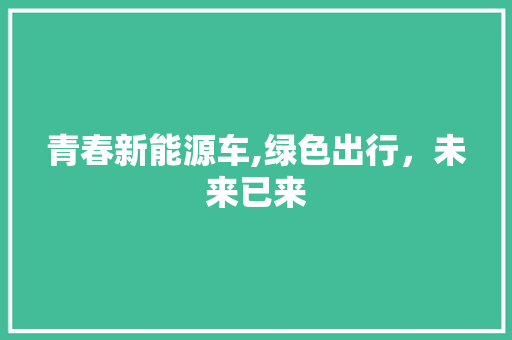 青春新能源车,绿色出行，未来已来