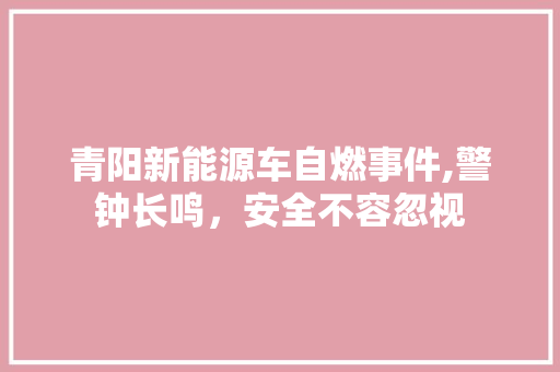 青阳新能源车自燃事件,警钟长鸣，安全不容忽视  第1张