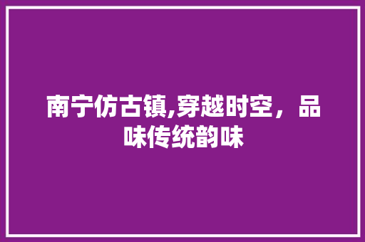 南宁仿古镇,穿越时空，品味传统韵味