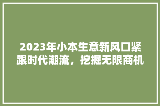 2023年小本生意新风口紧跟时代潮流，挖掘无限商机