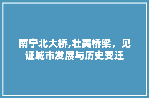 南宁北大桥,壮美桥梁，见证城市发展与历史变迁