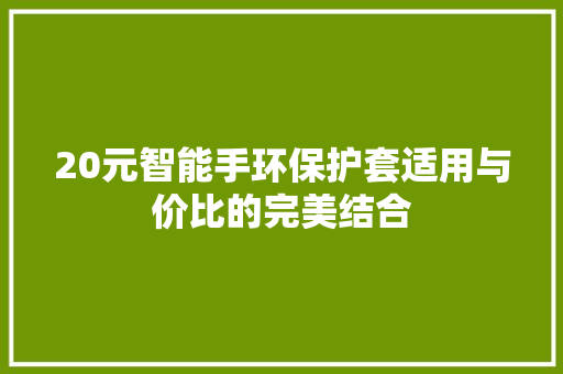 20元智能手环保护套适用与价比的完美结合  第1张