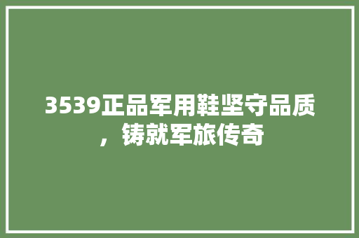 3539正品军用鞋坚守品质，铸就军旅传奇