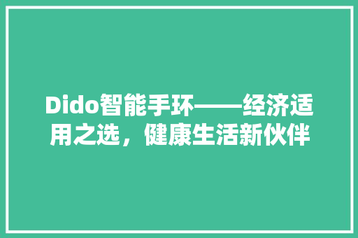 Dido智能手环——经济适用之选，健康生活新伙伴