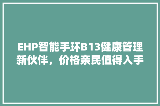 EHP智能手环B13健康管理新伙伴，价格亲民值得入手