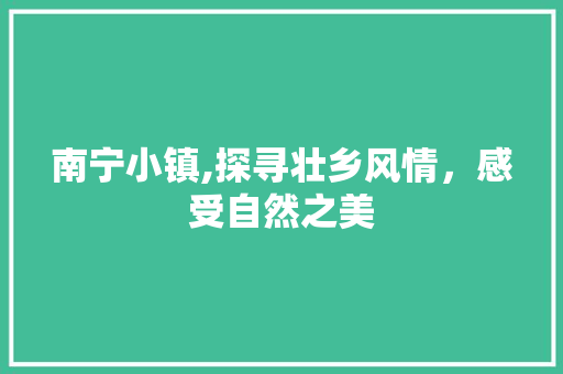 南宁小镇,探寻壮乡风情，感受自然之美  第1张