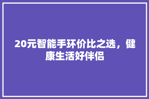 20元智能手环价比之选，健康生活好伴侣