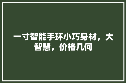 一寸智能手环小巧身材，大智慧，价格几何