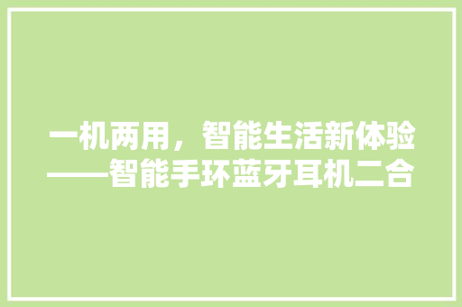 一机两用，智能生活新体验——智能手环蓝牙耳机二合一