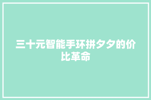 三十元智能手环拼夕夕的价比革命