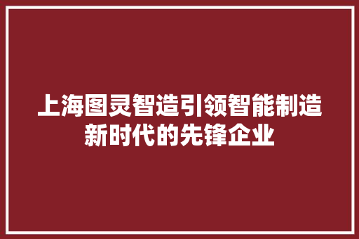 上海图灵智造引领智能制造新时代的先锋企业