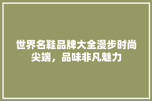 世界名鞋品牌大全漫步时尚尖端，品味非凡魅力