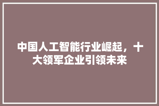 中国人工智能行业崛起，十大领军企业引领未来