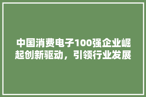 中国消费电子100强企业崛起创新驱动，引领行业发展新篇章