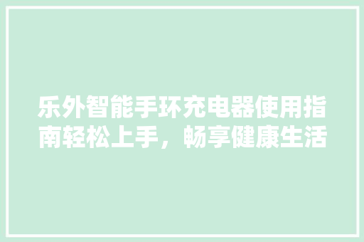 乐外智能手环充电器使用指南轻松上手，畅享健康生活  第1张