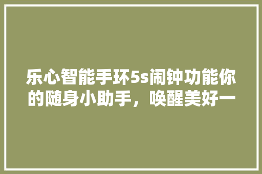 乐心智能手环5s闹钟功能你的随身小助手，唤醒美好一天