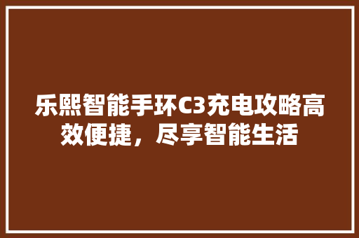 乐熙智能手环C3充电攻略高效便捷，尽享智能生活  第1张