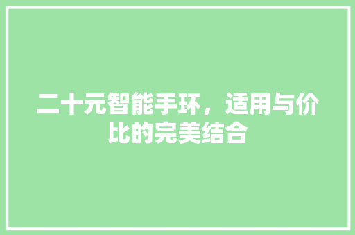 二十元智能手环，适用与价比的完美结合