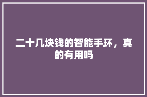 二十几块钱的智能手环，真的有用吗