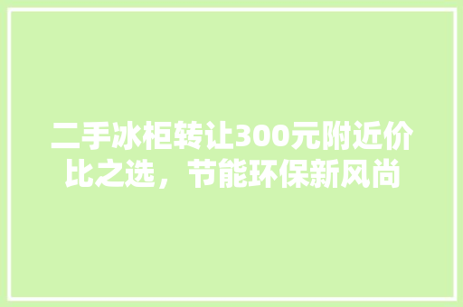 二手冰柜转让300元附近价比之选，节能环保新风尚  第1张