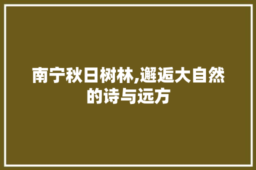 南宁秋日树林,邂逅大自然的诗与远方