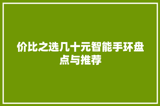 价比之选几十元智能手环盘点与推荐  第1张