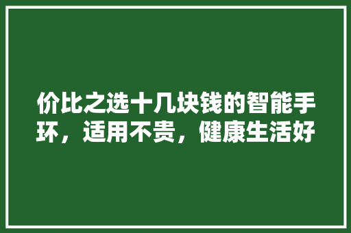 价比之选十几块钱的智能手环，适用不贵，健康生活好伴侣  第1张